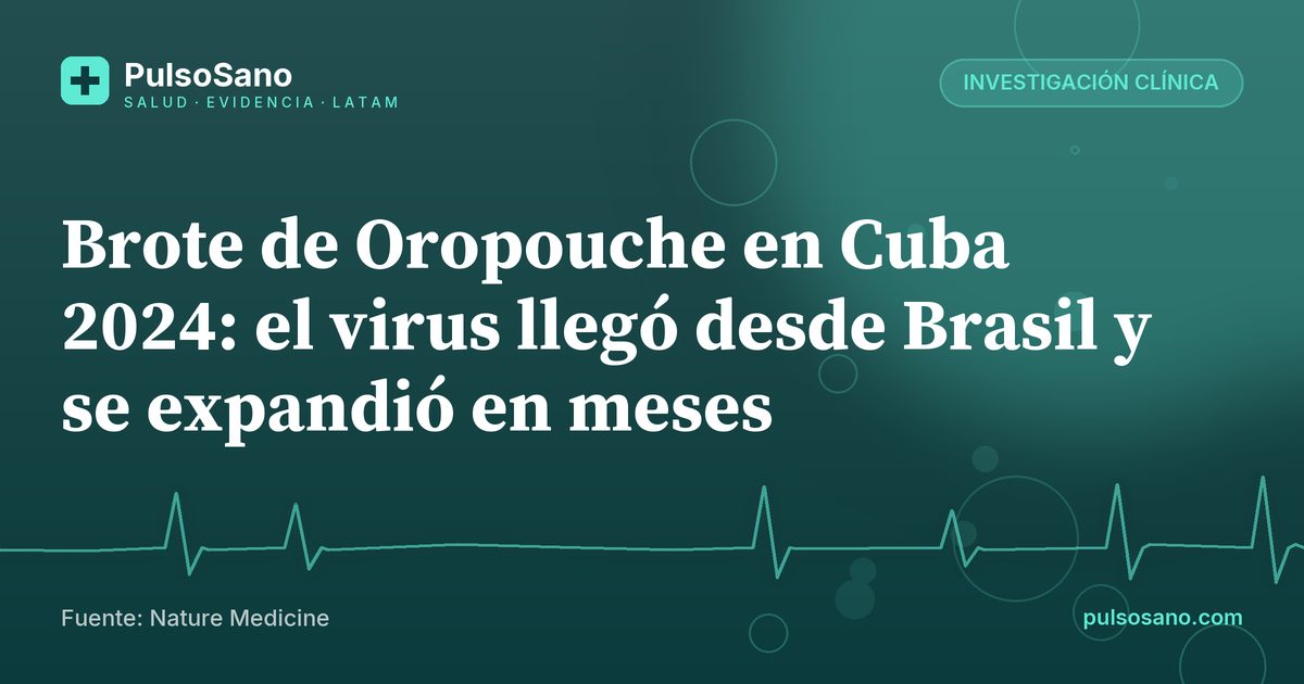 Brote de Oropouche en Cuba 2024: el virus llegó desde Brasil y se expandió en meses